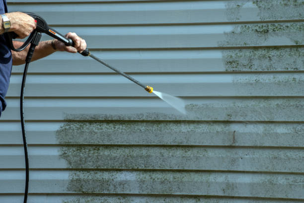 Best Pressure Washing Patio  in Dillon, MT